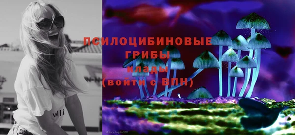 apvp Абаза