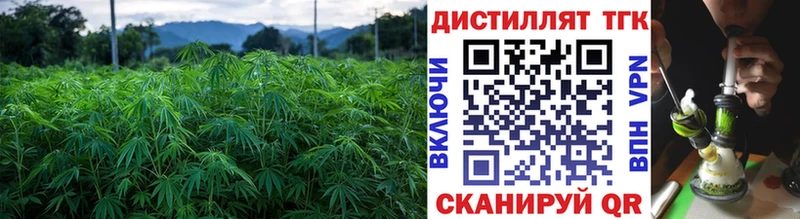 купить   Эртиль  Дистиллят ТГК Wax 
