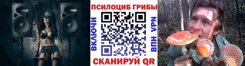 ОМГ ОМГ вход  Эртиль  Псилоцибиновые грибы Psilocybine cubensis  наркошоп 