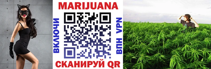 kraken ССЫЛКА  Эртиль  Шишки марихуана план 